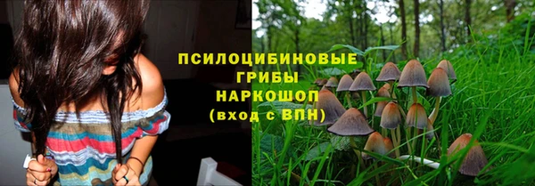дурь Волоколамск