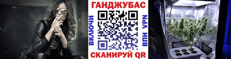 Бошки Шишки план  Купить где  Навашино 